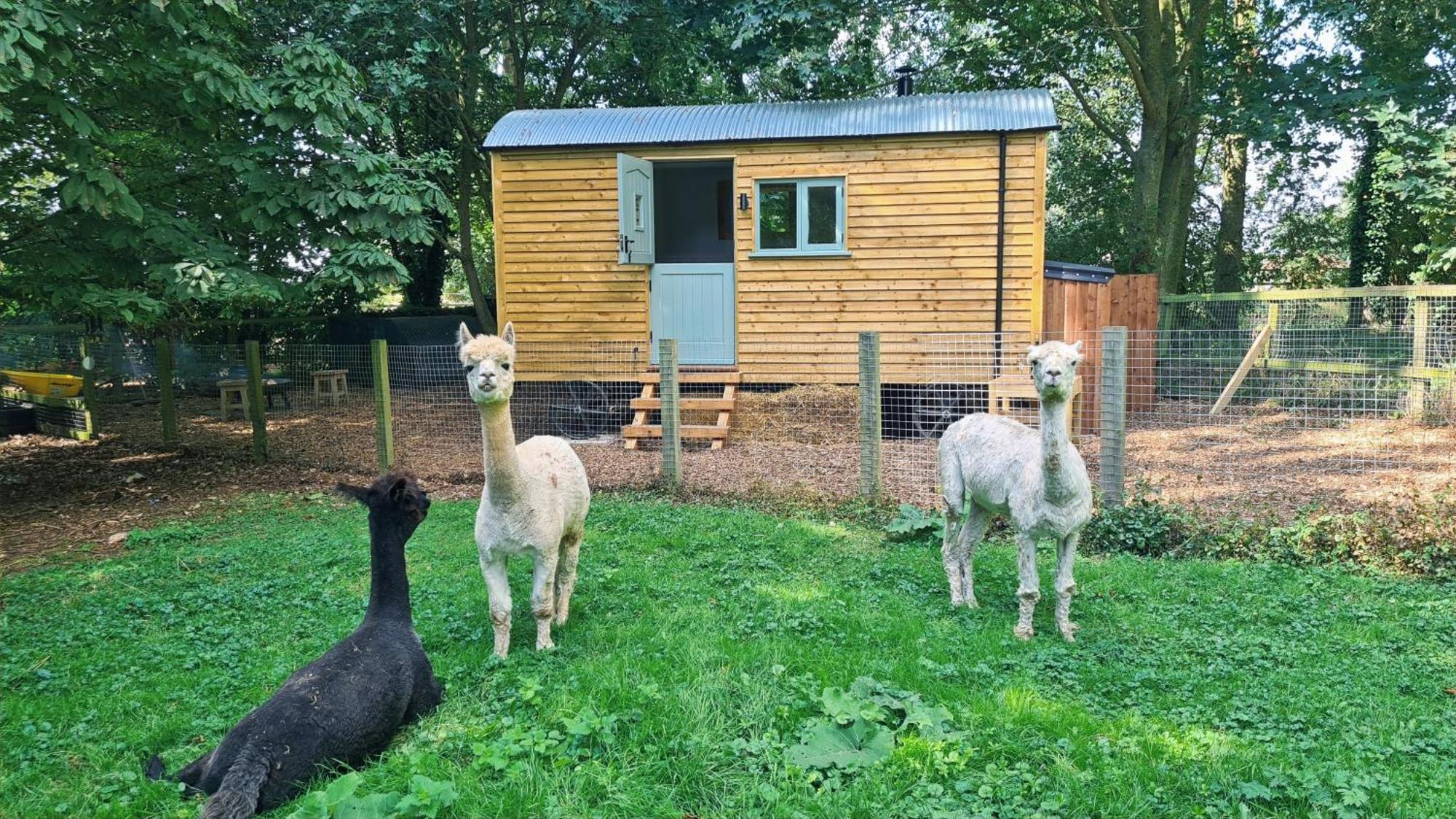 מלון אילי Horsley Hale Farm Glamping מראה חיצוני תמונה