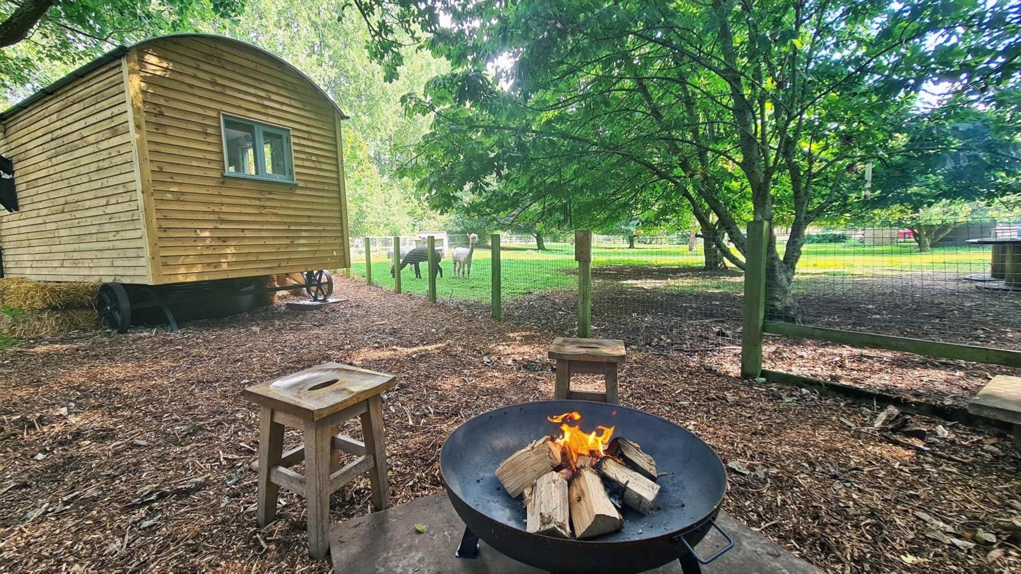 מלון אילי Horsley Hale Farm Glamping חדר תמונה